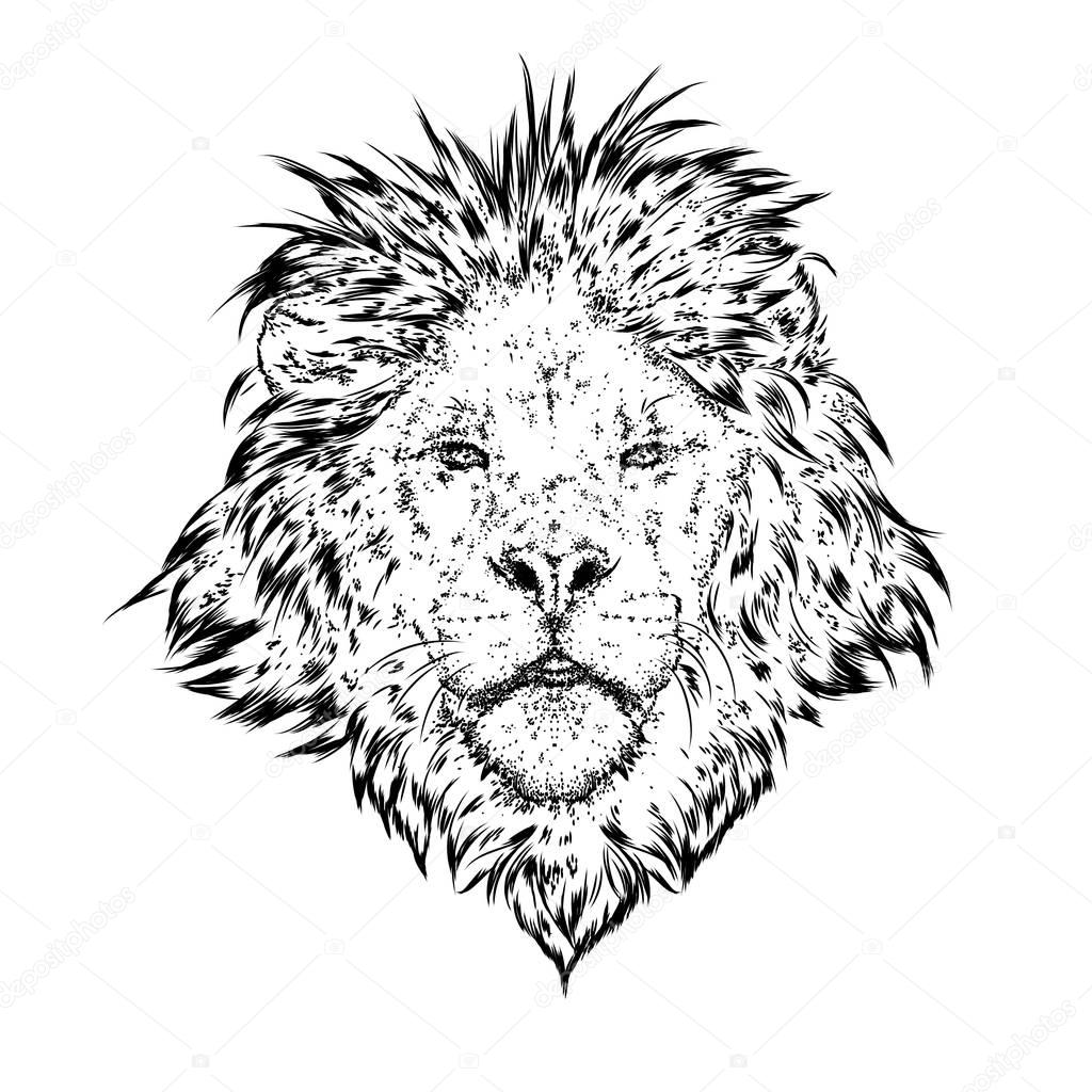 A beautiful lion. Vector illustration for a postcard or a poster, print for clothes.