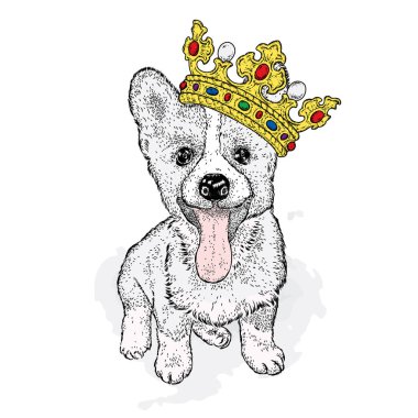 Güzel bir altın taç tatlı bir köpek. Safkan köpek yavrusu. Vektör çizim bir kartpostal veya poster, elbiselere yazdırma için. Moda ve stil, aksesuarlar.