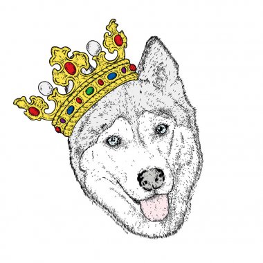 Güzel bir altın taç tatlı bir köpek. Safkan köpek yavrusu. Vektör çizim bir kartpostal veya poster, elbiselere yazdırma için. Moda ve stil, aksesuarlar. Husky.