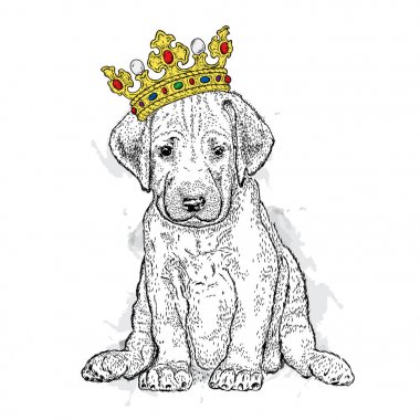 Güzel bir altın taç tatlı bir köpek. Safkan köpek yavrusu. Vektör çizim bir kartpostal veya poster, elbiselere yazdırma için. Moda ve stil, aksesuarlar.