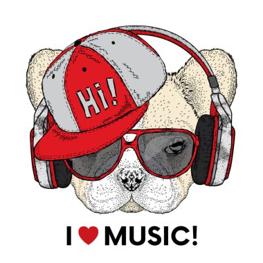 Şirin bulldog kulaklıklarla. Vektör çizim bir kartpostal veya poster, giysiler için yazdırma için. Safkan köpek. Yakışıklı bir köpek yavrusu.