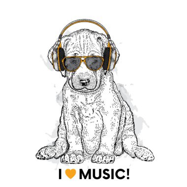 Gözlük ve kulaklık güzel bir köpek. Safkan köpek yavrusu. Vektör çizim için bir kartpostal veya poster, elbise veya aksesuarlar için yazdırma.