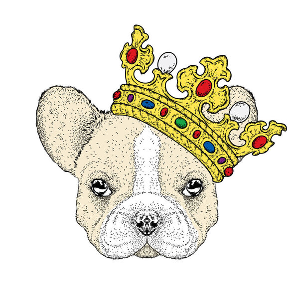 Lovely puppy in the crown. Vetch illustration for postcard or poster, print on clothes. Pedigree dog. Bulldog.