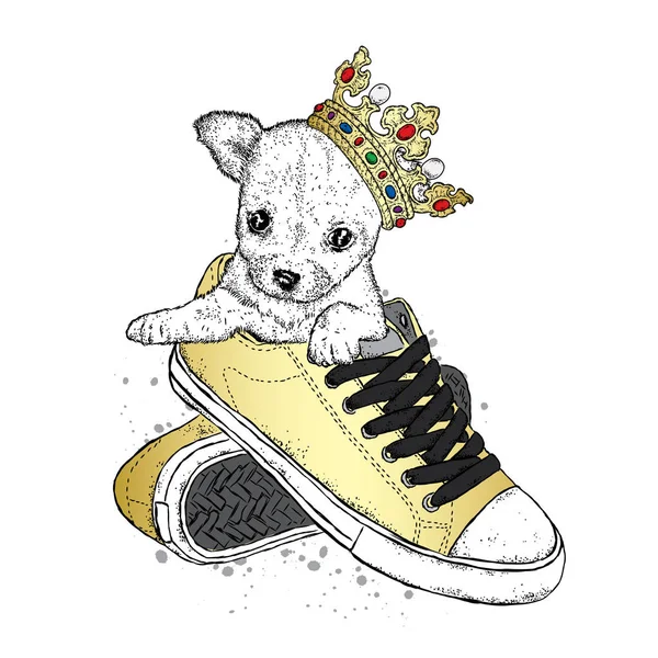 A cute puppy with a crown sits in sneakers. Vetch illustration for postcard or poster, print on clothes. Pedigree dog. Chihuahua. — Stock Vector