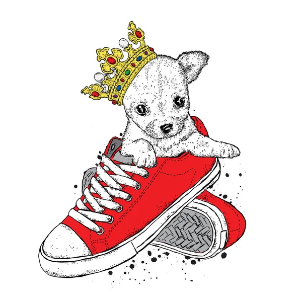 Un cucciolo carino con una corona siede in scarpe da ginnastica. Illustrazione di Vetch per cartolina o poster, stampa su vestiti. Cane dell'alveare. Chihuahua . — Vettoriale Stock