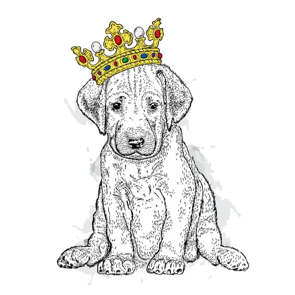 Güzel bir altın taç tatlı bir köpek. Safkan köpek yavrusu. Vektör çizim bir kartpostal veya poster, elbiselere yazdırma için. Moda ve stil, aksesuarlar.