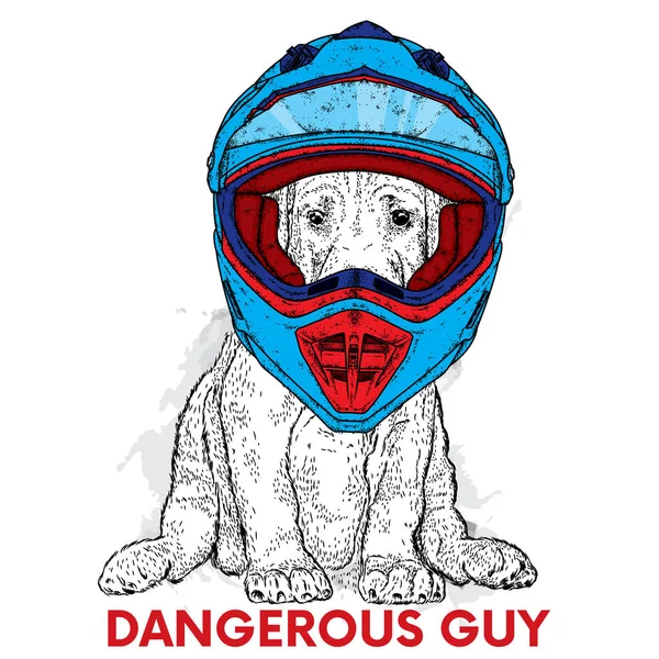 Забавная собака в мотоциклетном шлеме. Векторная иллюстрация для открытки, плаката или печати одежды. Чистый щенок. На мотоцикле. Спорт . — стоковый вектор