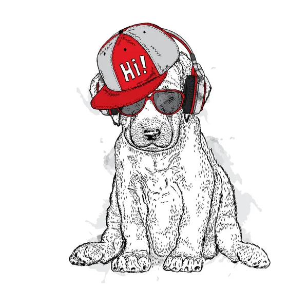 一只戴着眼镜和耳机的漂亮狗。纯种小狗明信片或海报的矢量插图, 用于衣服或附件的打印. — 图库矢量图片