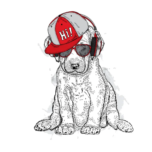 Um cão lindo com óculos e fones de ouvido. Cachorrinho de raça pura. Ilustração vetorial para um cartão postal ou um cartaz, estampado para roupas ou acessórios . —  Vetores de Stock