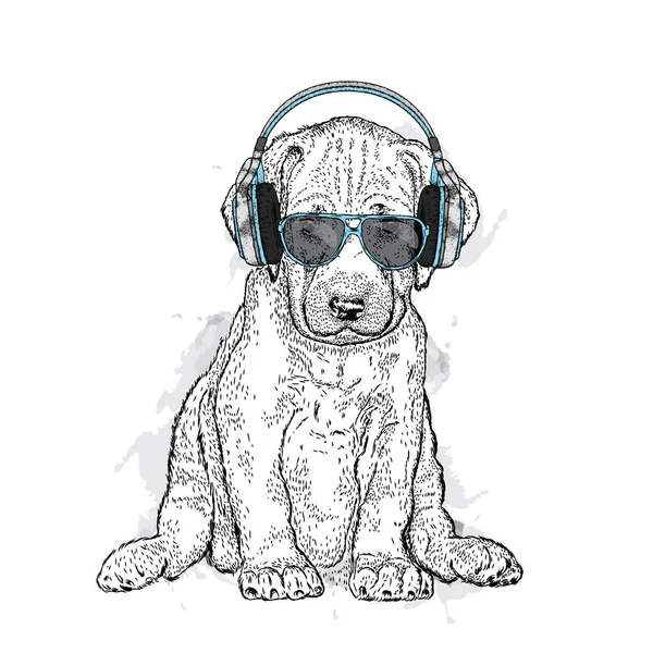 A beautiful dog with glasses and headphones. Purebred puppy. Vector illustration for a postcard or a poster, print for clothes or accessories. — Stock Vector