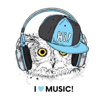 Bir kap ve kulaklık ile komik baykuş. Vektör çizim bir kartpostal veya poster, giysiler için yazdırma için. Kuş.