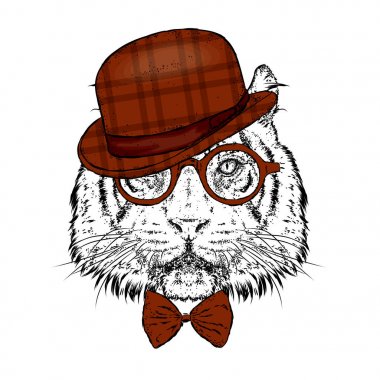 Güzel bir kaplan bir şapka ve gözlük. Vektör çizim. Vahşi hayvan, predator.