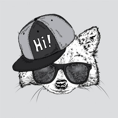 Güzel Rakun şapkası ve gözlük. Vektör çizim bir kartpostal veya poster, giysiler için yazdırma için. Vahşi hayvan giysili.