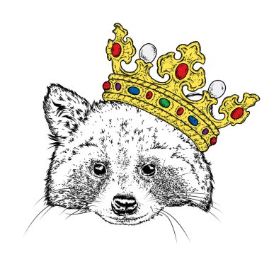 Güzel Rakun Crown. Vektör çizim bir kartpostal veya poster, giysiler için yazdırma için. Vahşi hayvan giysili.