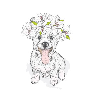 Zambak çelenk içinde şirin bir köpek. Vektör çizim bir kartpostal veya poster, giysiler için yazdırma için. Safkan köpek.