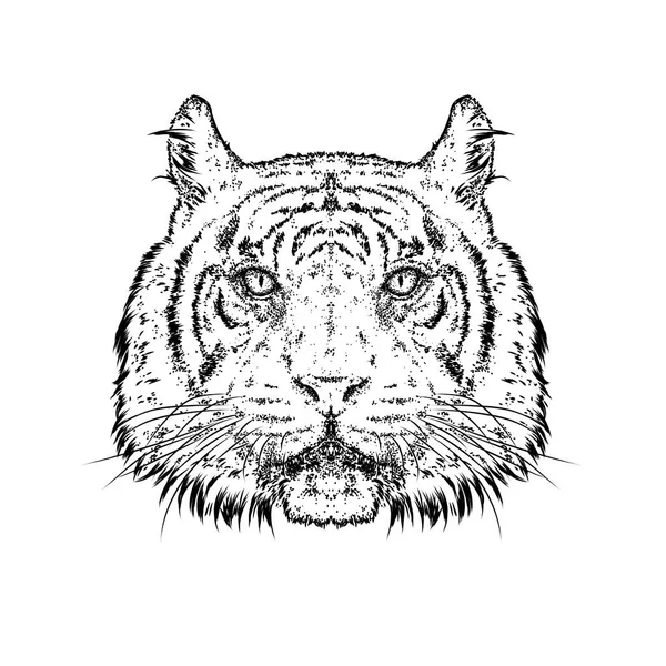 Um belo tigre. Ilustração vetorial. Animal selvagem, predador . — Vetor de Stock
