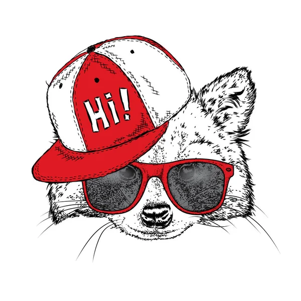 Lovely raccoon in a cap and glasses. Vector illustration for a postcard or a poster, print for clothes. Wild animal in clothes. — Stock Vector