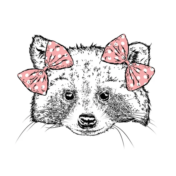 Şirin Rakun bir yay ile. Vektör çizim bir kartpostal veya poster, giysiler için yazdırma için. Vahşi hayvan giysili.