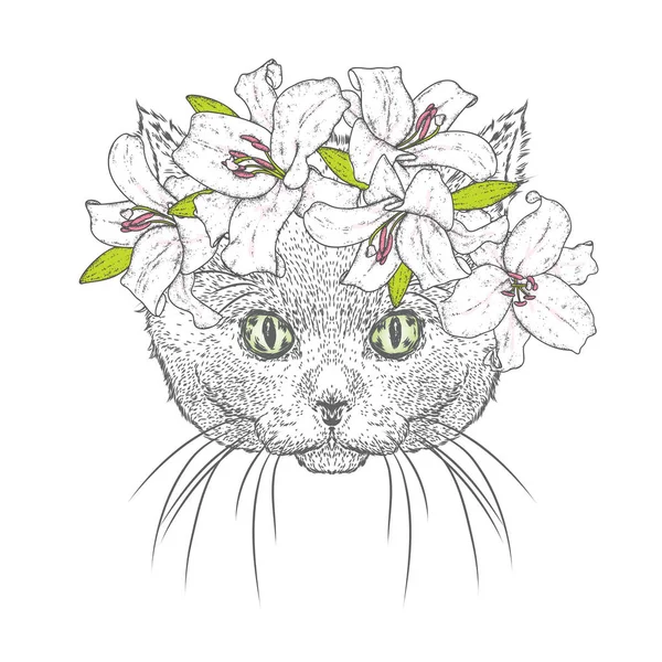Egy szép macska a koszorút a liliomok. Szép cica egy virág koszorú. Egy fajtiszta macska. Vektoros illusztráció egy képeslapot vagy egy poszter nyomtatási ruhák. — Stock Vector