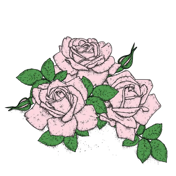 Lindas rosas com folhas e botões. Ilustração vetorial para um cartão postal ou um cartaz, impressão para roupas. Flores vintage . —  Vetores de Stock