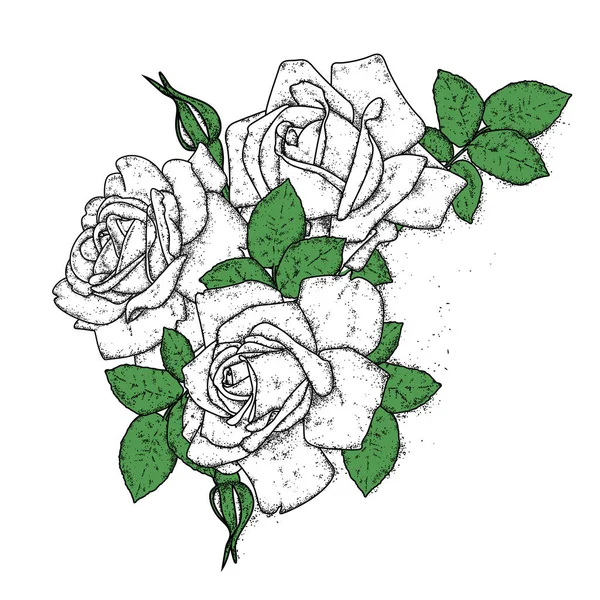 Όμορφα τριαντάφυλλα με φύλλα και μπουμπούκια. Εικονογράφηση διάνυσμα για μια κάρτα ή μια αφίσα, εκτύπωσης για ρούχα. Ρετρό λουλούδια. — Διανυσματικό Αρχείο