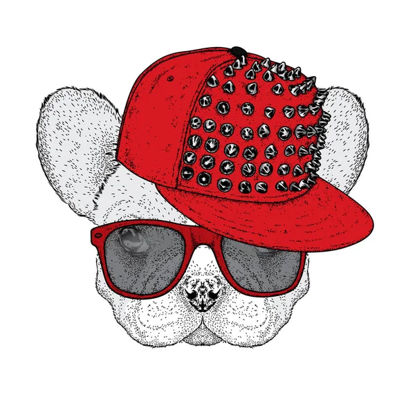 Mignon bulldog dans une casquette avec des épines et des lunettes. Illustration vectorielle pour une carte postale ou une affiche. Drôle de chien. Animal dans les vêtements . — Image vectorielle