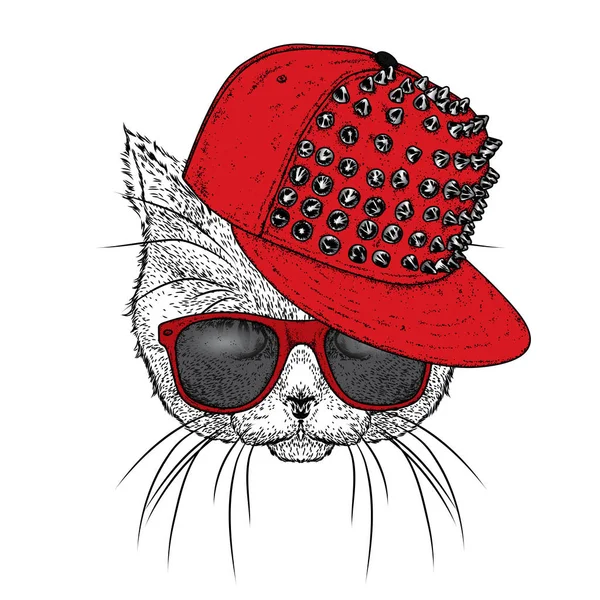 Aranyos cica egy sapkát, szegek és a szemüveg. Vektoros illusztráció egy képeslapot vagy egy poszter. Vicces macska. Ruha állatoknak. — Stock Vector