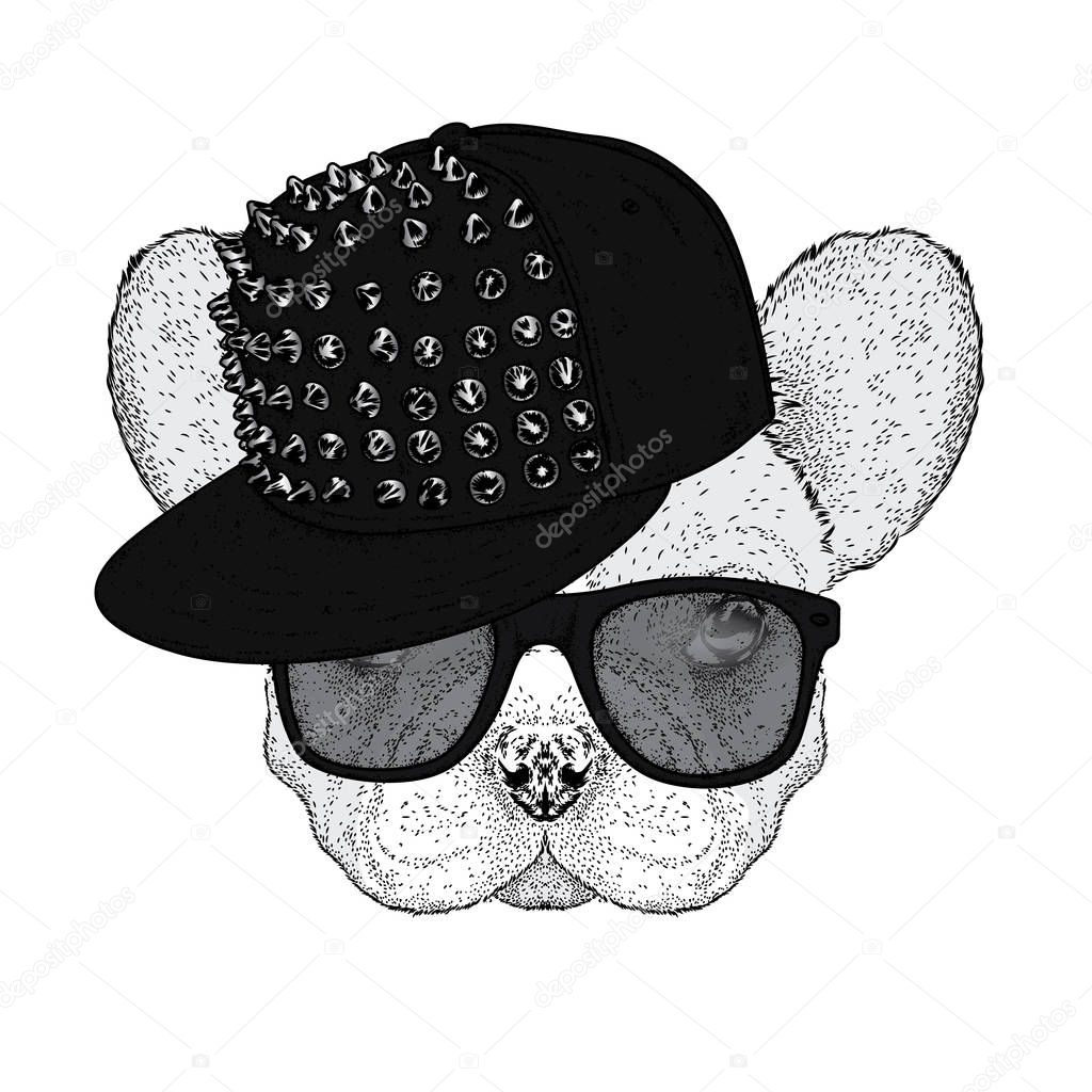Cute bulldog in a cap with thorns and glasses. Vector illustration for a postcard or a poster. Funny dog. Animal in clothes.