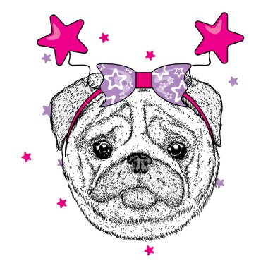 Yıldız ile şenlikli Halka'da şirin pug. Vektör çizim için bir kartpostal veya bir poster. Safkan köpek yavrusu. Güzel köpek.