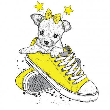 Bir yay ile sevimli bir köpek spor ayakkabı içinde oturur. Vektör çizim. Güzel köpek.