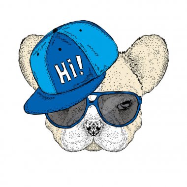 Fransız buldozer bir kap ve güneş gözlüğü takıyor. Şirin köpek. Bir kartı veya poster için vektör çizim.