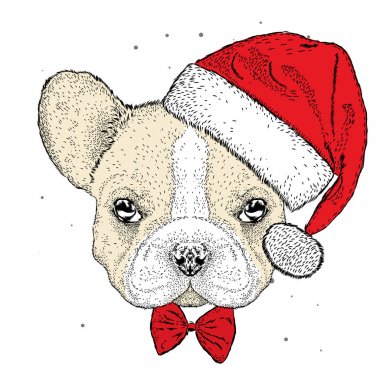Fransız buldozer Noel şapka içinde. Şirin köpek. Yeni yıl ve Noel. Bir kartı veya poster için vektör çizim.