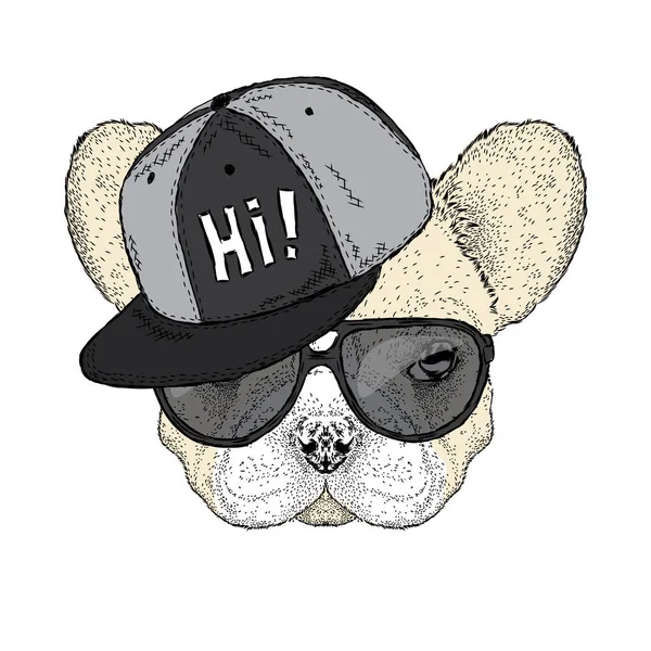 Bulldog francese con cappello e occhiali da sole. Bel cagnolino. Illustrazione vettoriale di una carta o di un poster . — Vettoriale Stock