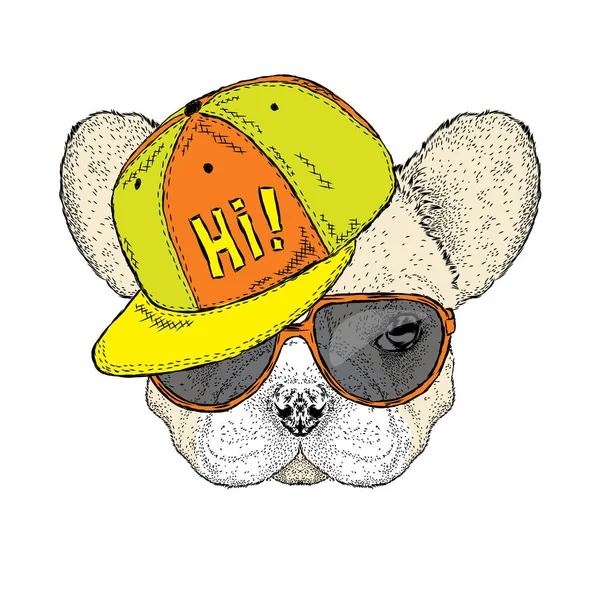 Französische Bulldogge mit Mütze und Sonnenbrille. Niedliche Welpen. Vektorillustration für eine Karte oder ein Poster. — Stockvektor