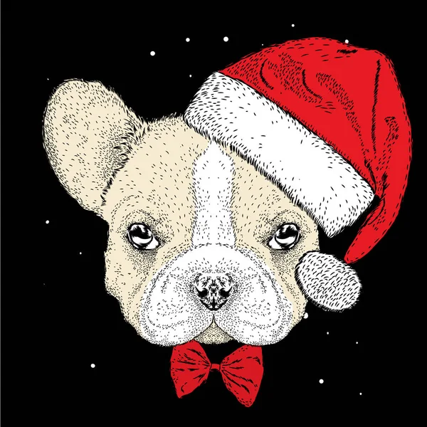 Bulldog francês com um chapéu de Natal. Cãozinho giro. Ano Novo e Natal. Ilustração vetorial para um cartão ou cartaz . — Vetor de Stock