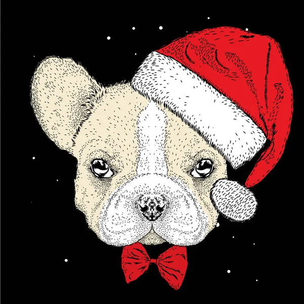 Fransız buldozer Noel şapka içinde. Şirin köpek. Yeni yıl ve Noel. Bir kartı veya poster için vektör çizim.