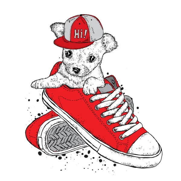 A cute puppy in a cap sits in sneakers. Vector illustration. Beautiful dog. — Stock Vector