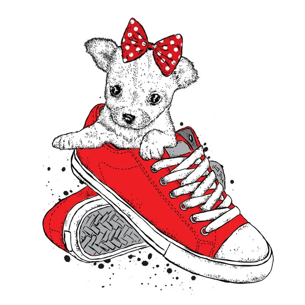 Bir yay ile sevimli bir köpek spor ayakkabı içinde oturur. Vektör çizim. Güzel köpek.