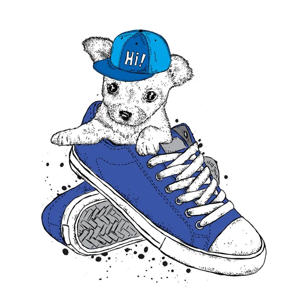 A cute puppy in a cap sits in sneakers. Vector illustration. Beautiful dog. — Stock Vector