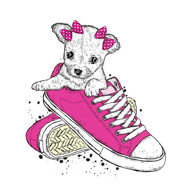 Un lindo cachorro con arcos se sienta en zapatillas de deporte. Ilustración vectorial. Hermoso perro . — Vector de stock