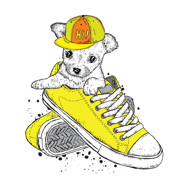 A cute puppy in a cap sits in sneakers. Vector illustration. Beautiful dog. — Stock Vector