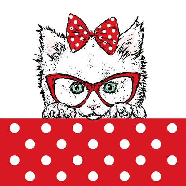 Roztomilá kočička nosí brýle a luk. Vektorové ilustrace. Krásná kočka. — Stockový vektor