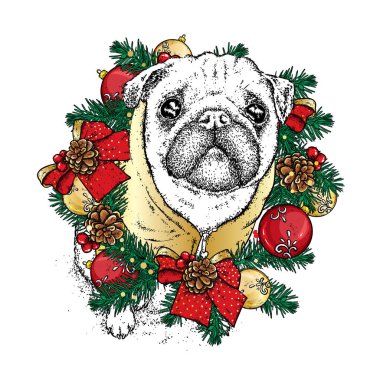 Köknar dallarında yapılan yeni yıl çelenk içinde komik pug topları ve yay ile süslenmiş. Yeni yıl ve Noel. Vektör illüstrasyon kutlama tebrik kartı, poster. Safkan köpek. Köpek yavrusu.