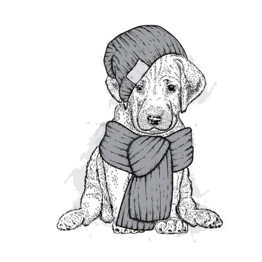 Bir örgü şapka ve atkı güzel bir köpek. Şirin köpek. Vektör çizim için bir kartpostal veya poster, giysiler için yazdırma.