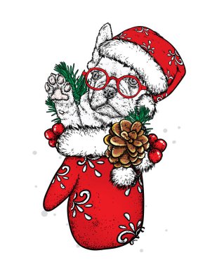 New Year's eldiven ve Ladin dalları komik bir köpek. Vektör çizim. Şapka, çok güzel yeni yıl köpek yavrusu.