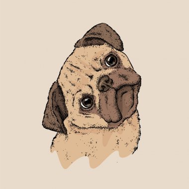 Sevimli küçük boksör. Safkan köpek. Yakışıklı bir köpek yavrusu. Vektör çizim. 