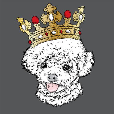 Taç sevimli fino köpeği. Vektör çizim. Moda ve stil. Soyu bir köpek ve bir mücevher. Güzel köpek.