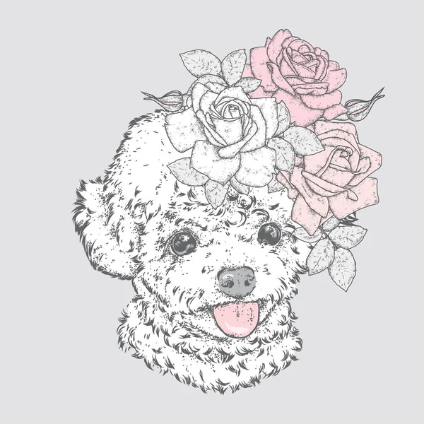 Mignon caniche dans une couronne de roses. Illustration vectorielle. Mode & Style. Chiot de race pure et fleurs. Beau chien . — Image vectorielle