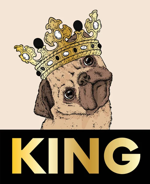 ปั๊กที่สวยงามในมงกุฎ ภาพเวกเตอร์สําหรับโปสการ์ดหรือโปสเตอร์ พิมพ์สําหรับเสื้อผ้า หมาฮิปสเตอร์ใส่เสื้อผ้า แฟชั่นและสไตล์ ลูกสุนัขตลก . — ภาพเวกเตอร์สต็อก