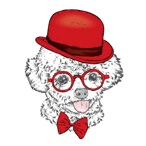 Bir şapka ve gözlük fino köpeği. Vektör çizim. Giysi ve aksesuarları. Moda ve stil. — Stok Vektör